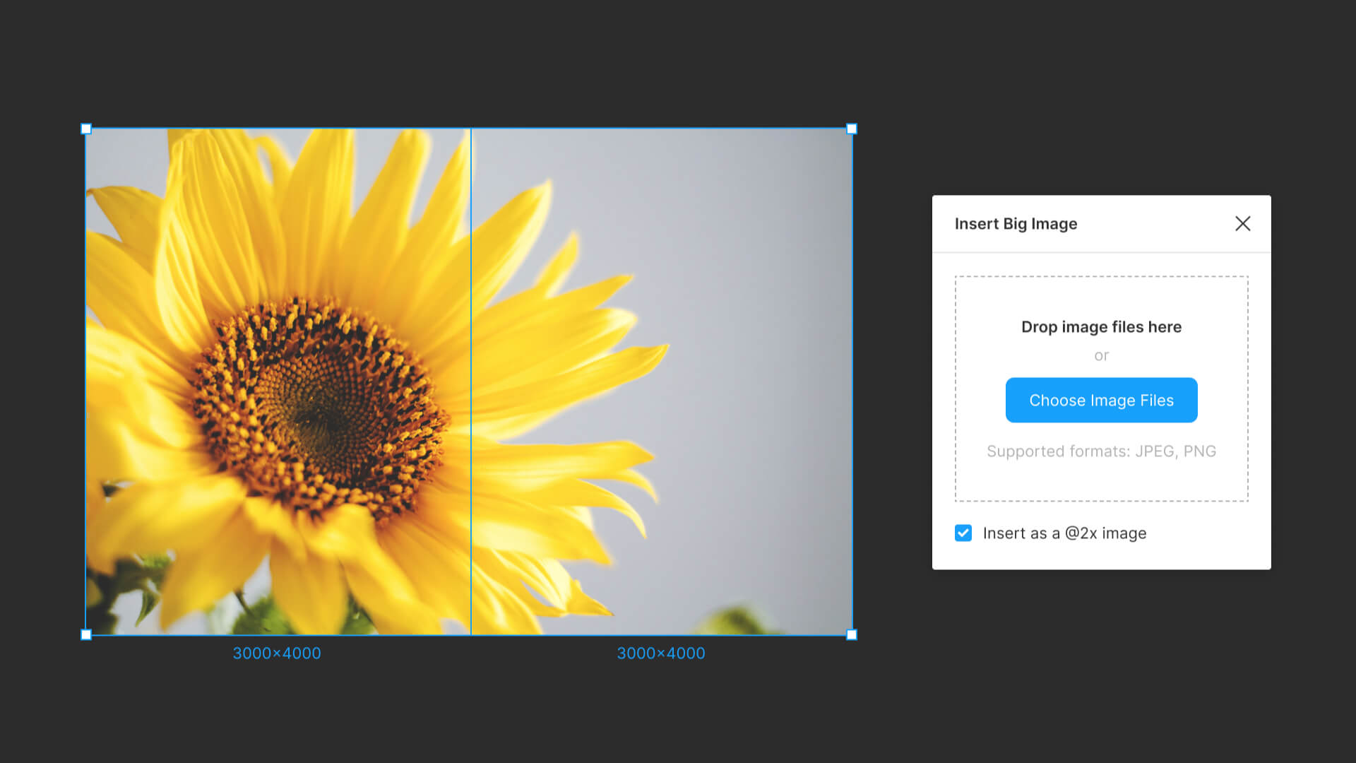 figma-plugin-insert-big-image
